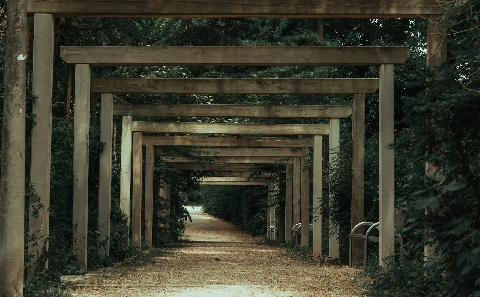 Pérgola de madeira em sequência sobre um caminho de terra batida, entre a mata