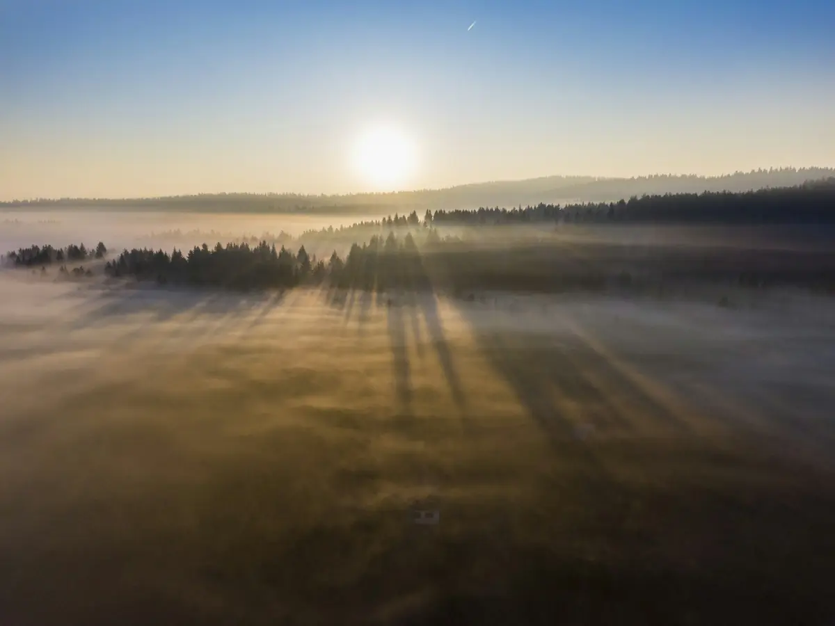 Vale coberto de neblina dourada visto do alto, ao amanhecer
