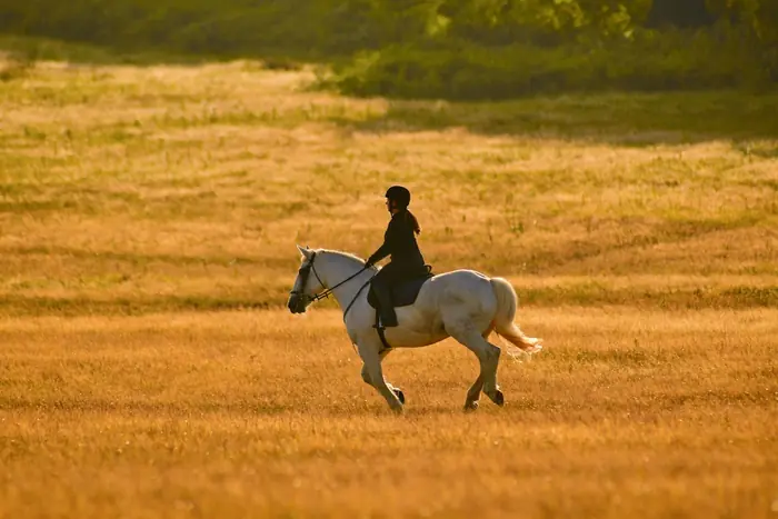 Cavaleira num campo dourado ao fim da tarde