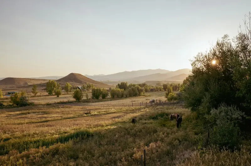 Campo de fazenda ao entardecer, com cavalos e serras ao fundo