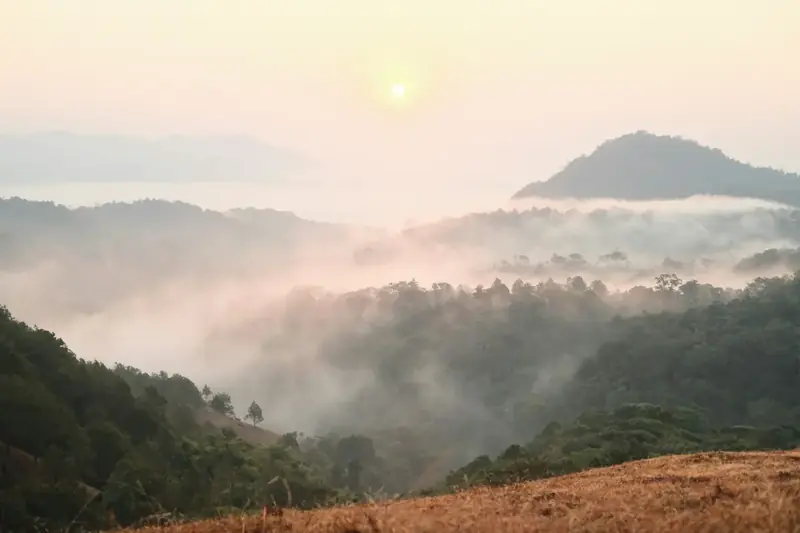 Vale coberto de névoa visto do alto de uma encosta