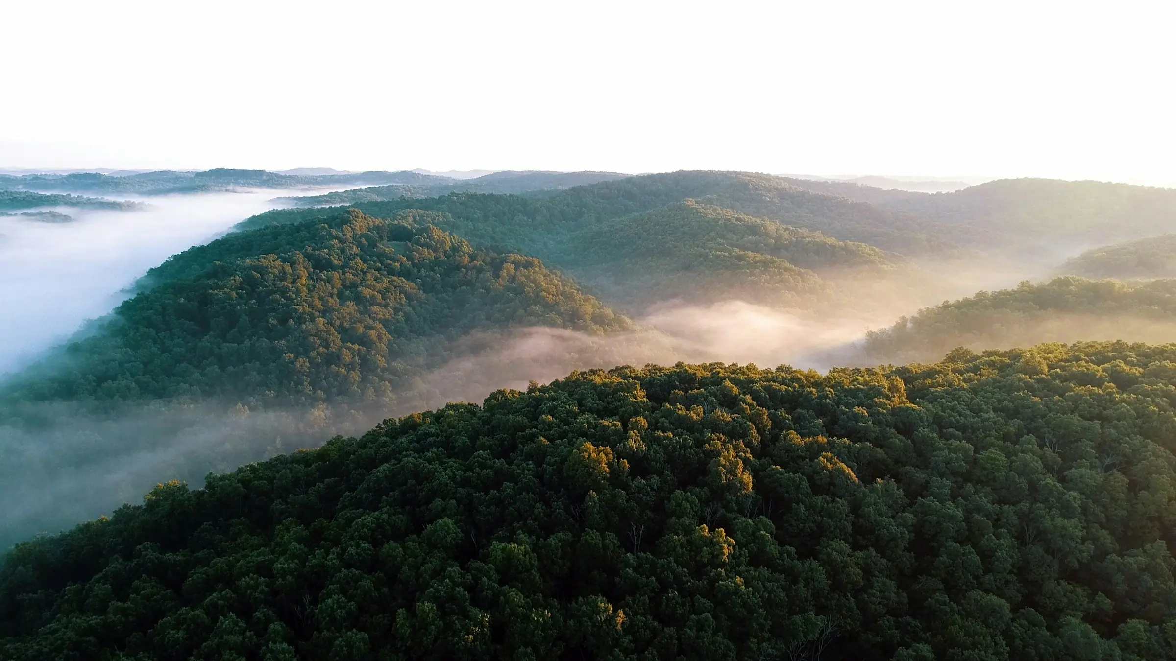 Colinas de mata nativa sob névoa, ao amanhecer